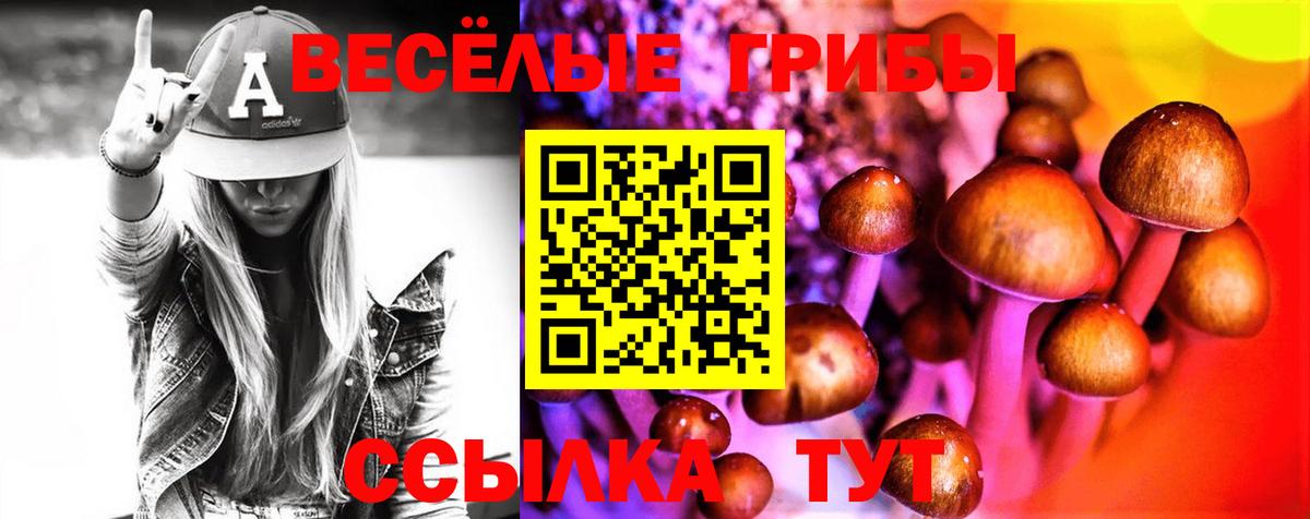 Галлюциногенные грибы ЛСД Можайск